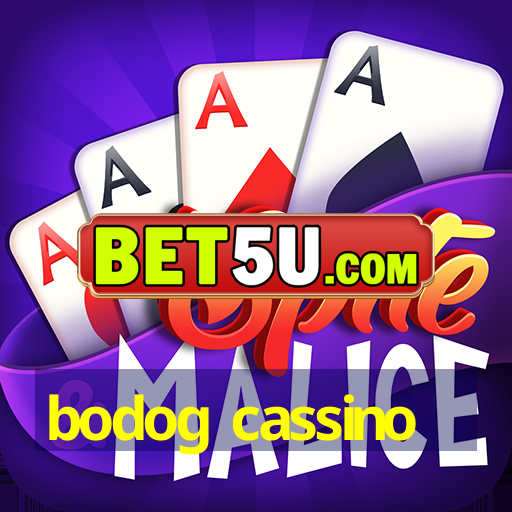 bodog cassino